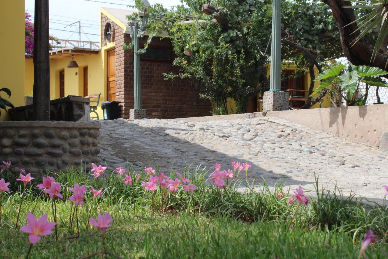 Loma Blanca San Jose de los Molinos