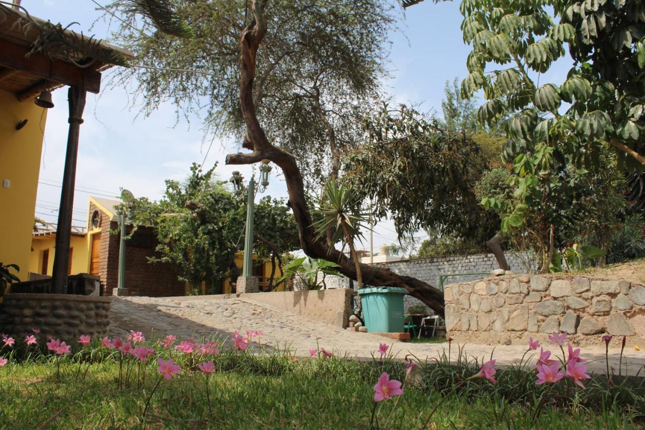 Casa de hóspedes Loma Blanca